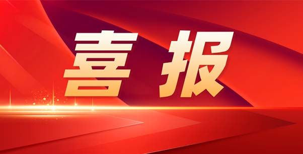 喜報(bào)！熱烈祝賀我司榮獲江蘇省“專精特新”企業(yè)稱號(hào)